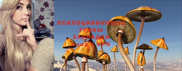 кокс Алзамай