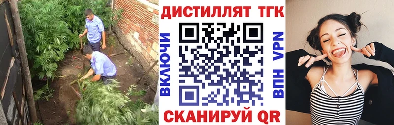shop официальный сайт  закладки  Бийск  Дистиллят ТГК THC oil 