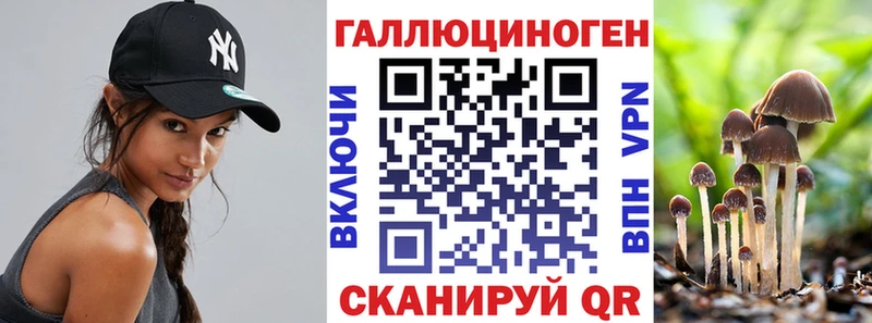 Псилоцибиновые грибы мицелий  купить наркоту  KRAKEN рабочий сайт  Бийск 